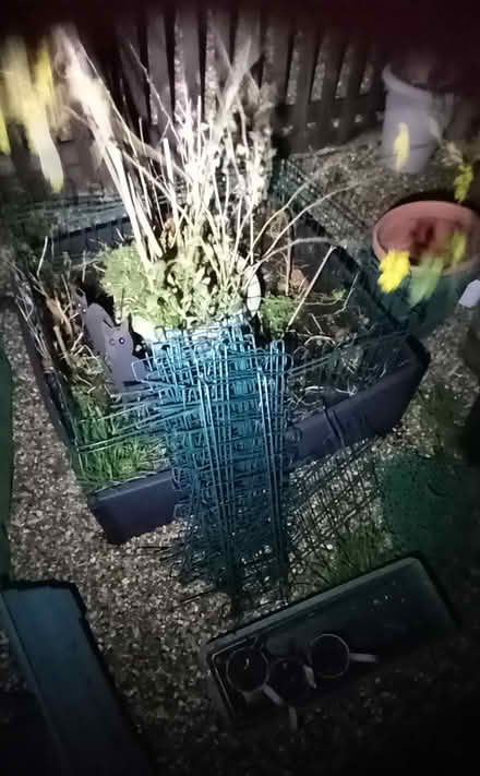 Photo of free Garden stuff (SG6) #4