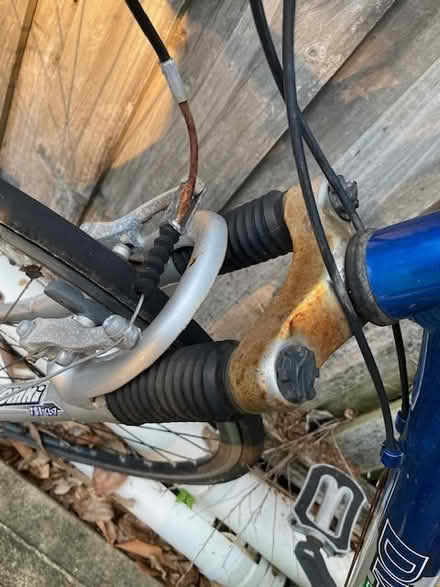 Photo of free Bicycle (Lane Cove north) #2