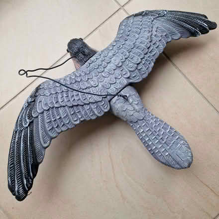 Photo of free Plastic Falcon (Garden City OX5) #1