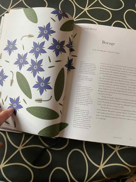 Photo of free Herbarium herb book (Upper Norwood SE19) #2