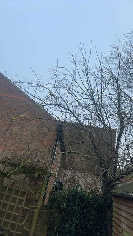 Photo of free Fresh apples in containers (Stockwood LU1) #2