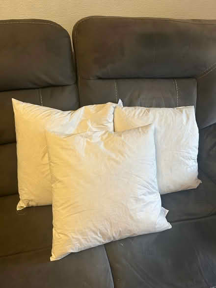 Photo of free Feather cushion pads (Bromborough, CH62) #1