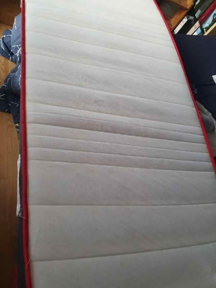 Photo of free Single mattress (Manor Road N17) #2