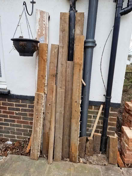 Photo of free Wood (Shoreham-by-Sea BN43) #1