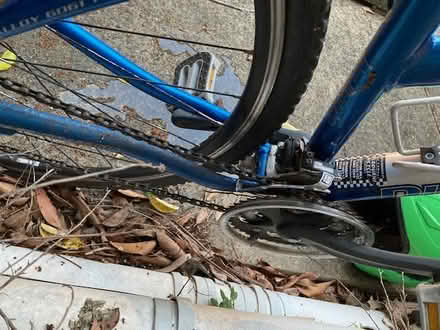 Photo of free Bicycle (Lane Cove north) #1