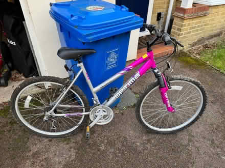 Photo of free Bicycles (North Ascot SL5) #2