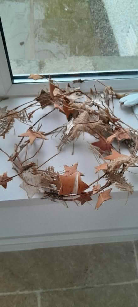 Photo of free Birch star garland (Slyne-with-Hest LA2) #1