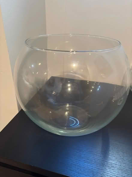 Photo of free Punch bowl (Chevy Chase, DC) #1