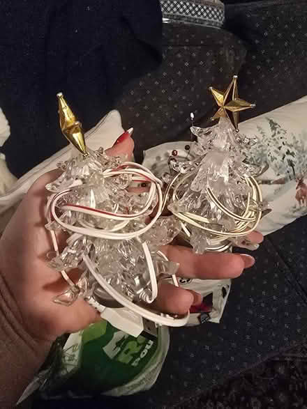 Photo of free Christmas trimmings (Chapeltown S35) #3