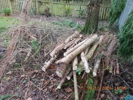 Photo of free fire wood (Ellesmere Port CH65) #1