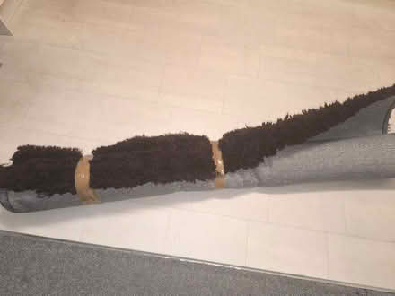 Photo of free Fluffy rug (Allerton BD15) #2