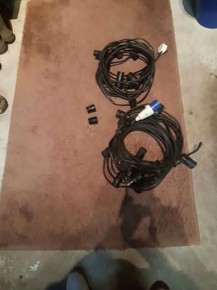 Photo of free festoon (New Hutton LA8) #1