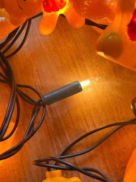 Photo of free Teddy bear lights (RM6) #3