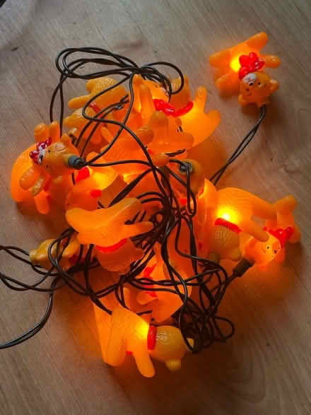 Photo of free Teddy bear lights (RM6) #1