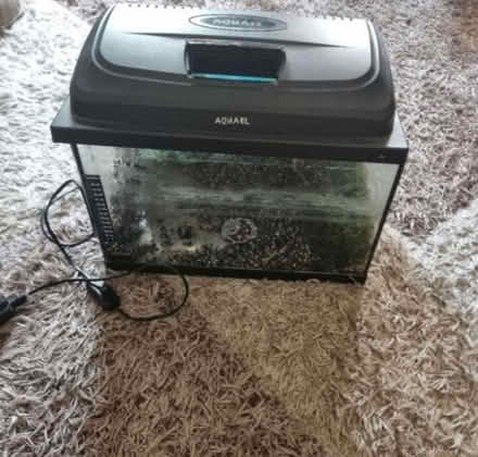 Photo of free Small fish tank (RM6) #1