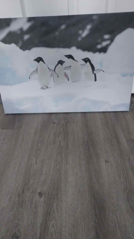 Photo of free Canvas picture (Garforth LS25) #2