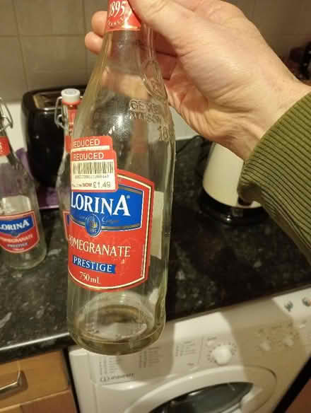 Photo of free Clasp top bottles (Dovecote BS37) #2