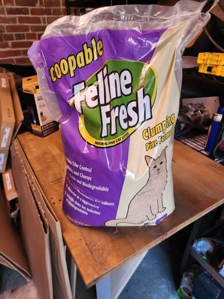 Photo of free Pine cat litter bag (Hillcrest SE DC) #1