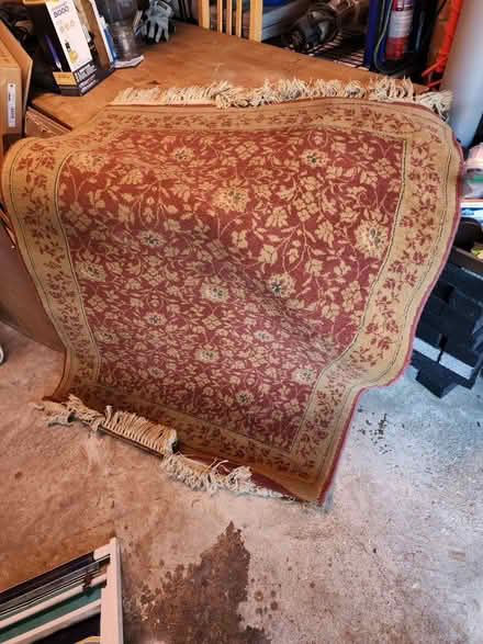 Photo of free Rug 3x5 (Hillcrest SE DC) #1