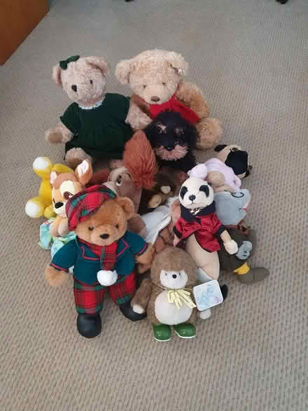 Photo of free Bag soft toys (Rushden NN10) #1