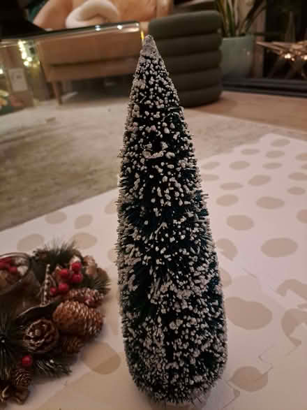 Photo of free Christmas decorations (Shepherds Bush W12) #1