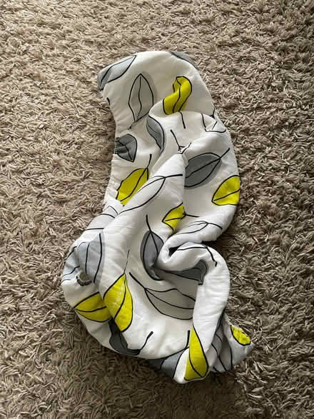 Photo of free Ironing board cover (Acton W3) #1