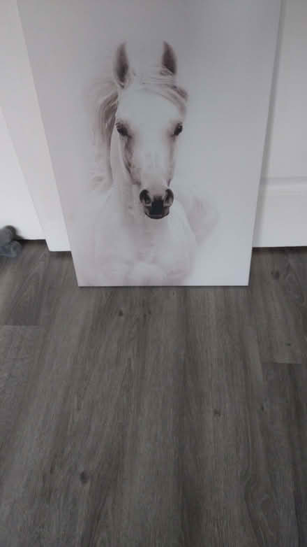 Photo of free Canvas picture (Garforth LS25) #1