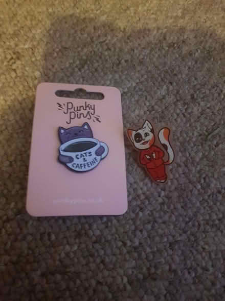 Photo of free Two cat pin badges (Seaside BN22) #1