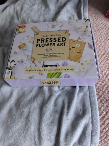 Photo of free Pressed flower art (Dartford DA1) #1