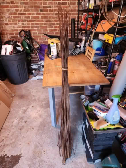 Photo of free Decorative sticks (Hillcrest SE DC) #1