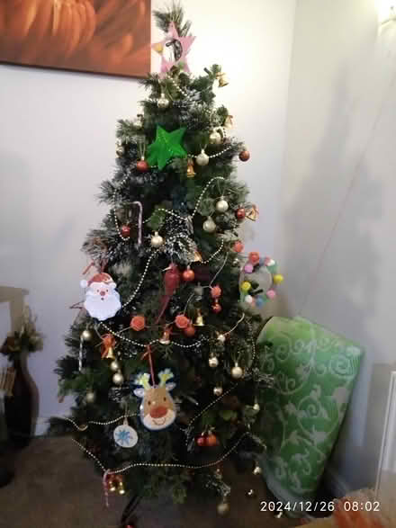 Photo of free Artificial Christmas tree (Ilford IG1) #1