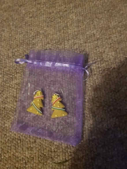 Photo of free Unused Christmas dangly earrings. (Seaside BN22) #1