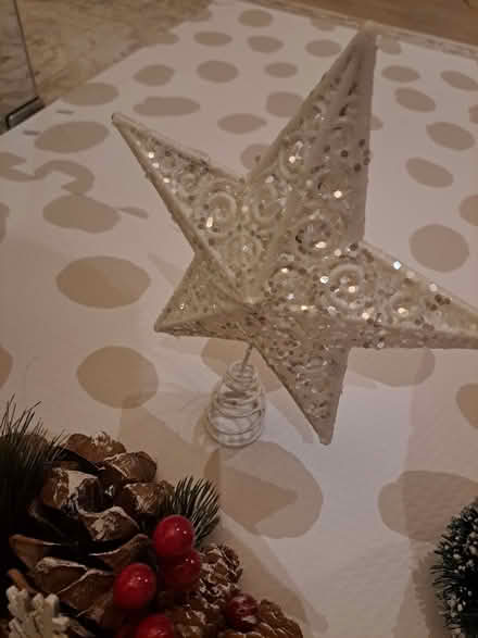 Photo of free Christmas decorations (Shepherds Bush W12) #2