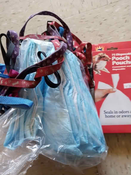 Photo of free dog stuff (Brooklyn 11217) #1