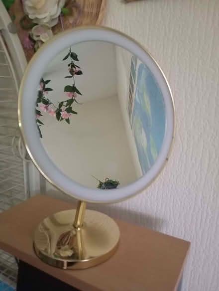 Photo of free Mirror (Slade Green DA8) #1
