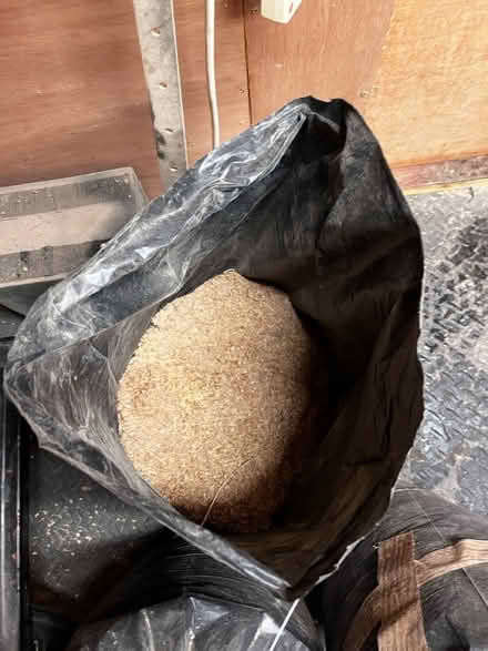 Photo of free 6/7 bags of sawdust (G66 Lenzie) #1