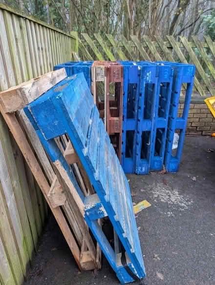 Photo of free Pallets (Sherwood PR2) #1
