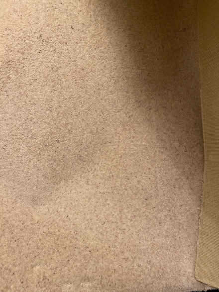 Photo of free Carpet (Newbiggin CA11) #1