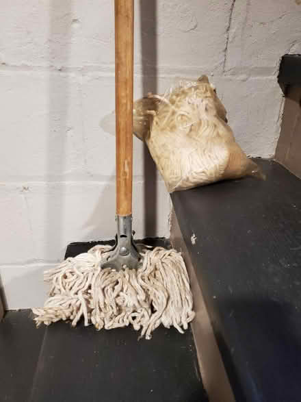 Photo of free Mop (Linden) #1