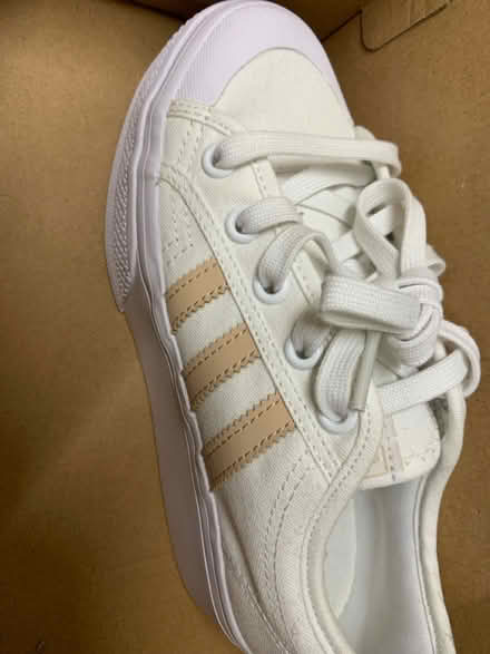 Photo of free Girls trainers (Shrewsbury) #1
