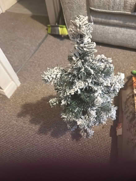Photo of free Artificial Christmas tree. (Eastbourne BN21) #1