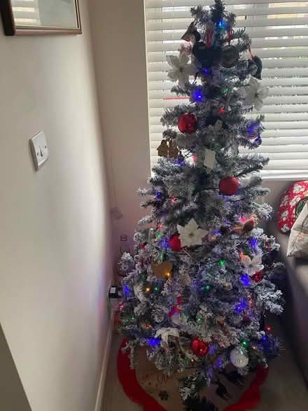 Photo of free 6ft snowy xmas tree (East Peckham TN12) #1