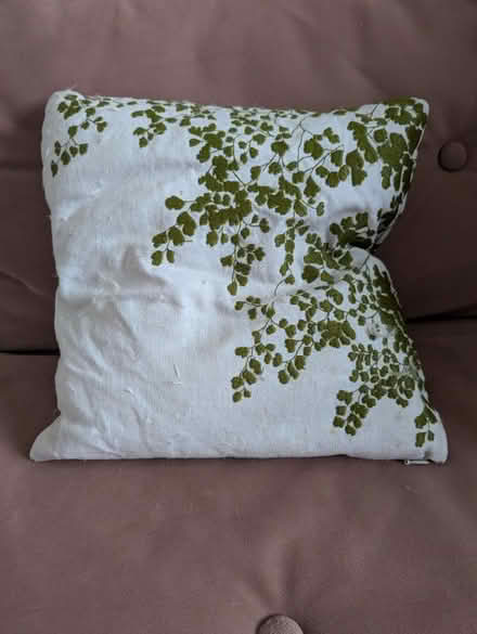 Photo of free Small white and green cushion (Leytonstone) #1