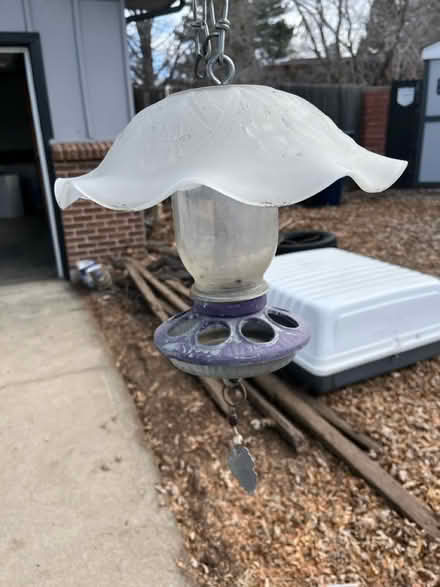 Photo of free bird feeder (Walnut Hills) #1