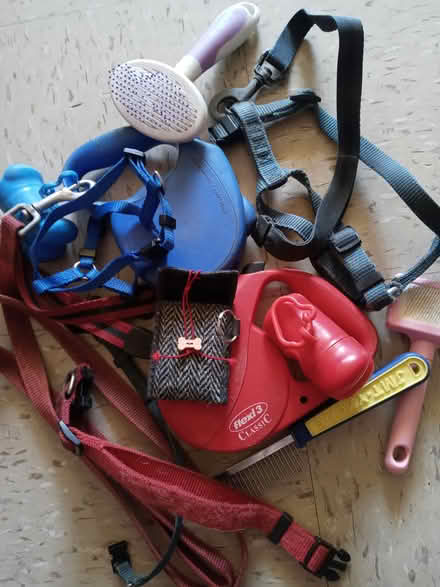 Photo of free dog stuff (Brooklyn 11217) #2