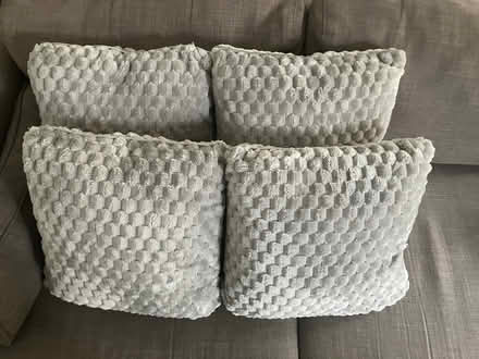 Photo of free 4 x cushions (Belsize Park) #1