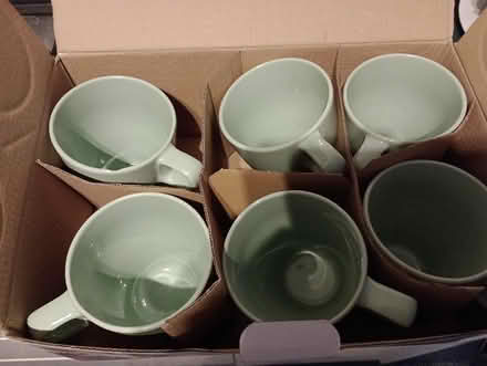 Photo of free 6 light green cups (RG6) #1