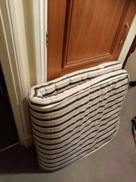 Photo of free Jayzee foam mattress from folding bed (Bowbridge GL5) #1