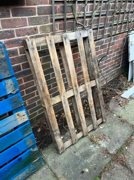 Photo of free Wood Pellets - heavy and Light (SW15) #1