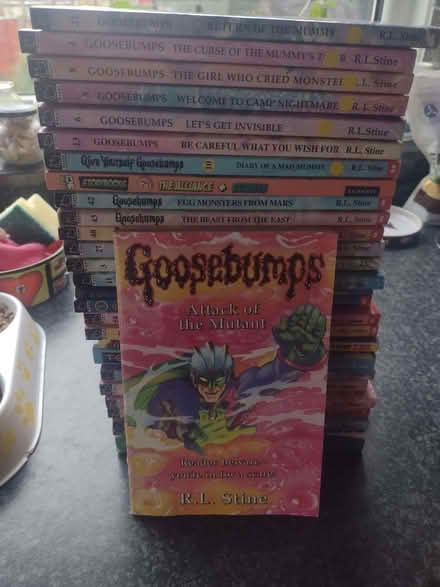 Photo of free Goosebumps (Little Thornton FY5) #1
